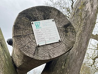 Schommel - afbeelding 3 van  3