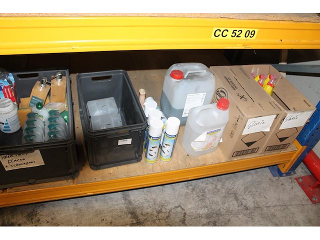 Schoonmaak- en reinigingsprodukten op schap w.o. ongediertebestrijding, stoffer en blik, glorix, etc. - afbeelding 3 van  3