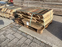 Schoor eik europees (28x) - afbeelding 1 van  4