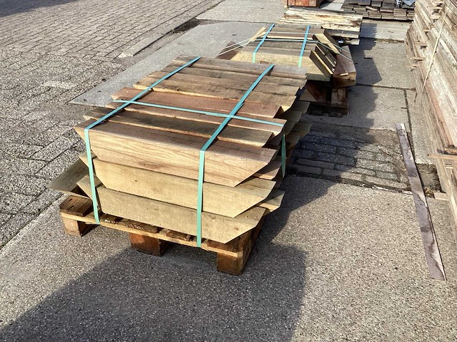 Schoor eik europees (28x) - afbeelding 4 van  4