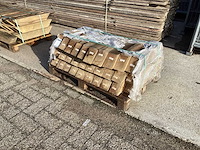 Schoor eik europees (30x) - afbeelding 1 van  5