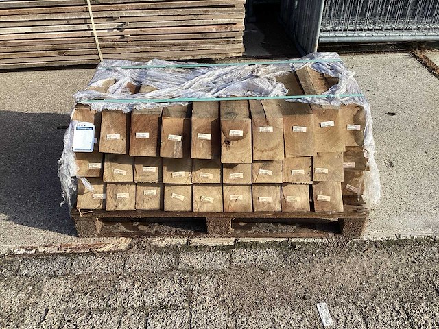 Schoor eik europees (30x) - afbeelding 5 van  5