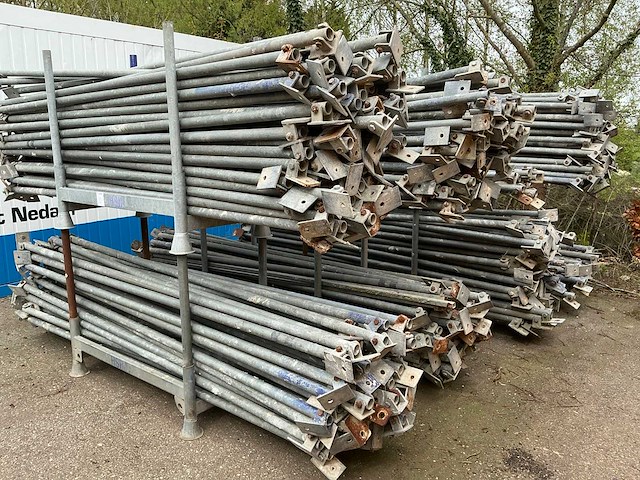 Schoorstempel (450x) - afbeelding 3 van  6