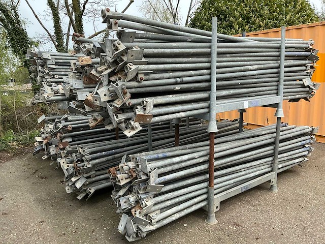 Schoorstempel (450x) - afbeelding 4 van  6