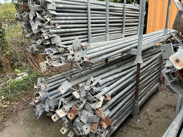 Schoorstempel (450x) - afbeelding 6 van  6