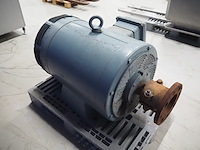 Schorch - afbeelding 3 van  6