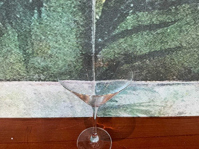 Schott zwiesel - martini glas (6x) - afbeelding 2 van  3