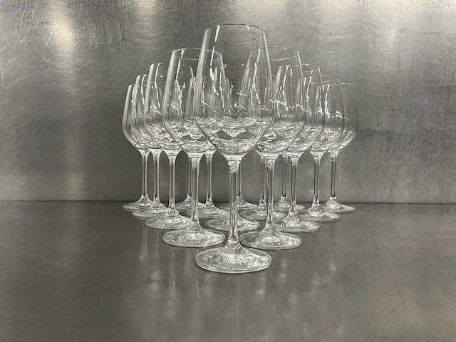 Schott & zwiesel - vina - glazenkorf met 33 wijnglazen (20x) - afbeelding 6 van  14