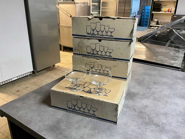 Schott-zwiesel parma cocktailglazen (54x) - afbeelding 1 van  5