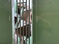 Schouten sorteer/voorraad bunker - afbeelding 9 van  27
