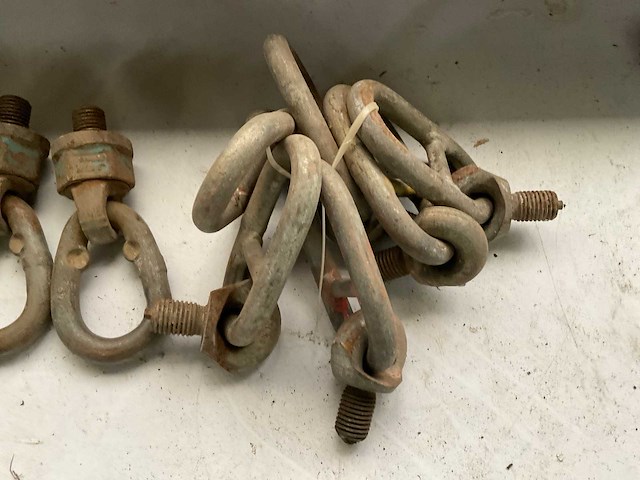 Schroefhijsogen (60x) - afbeelding 7 van  8