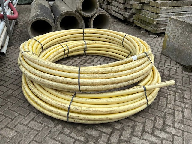 Schutbuis (2x) - afbeelding 1 van  4