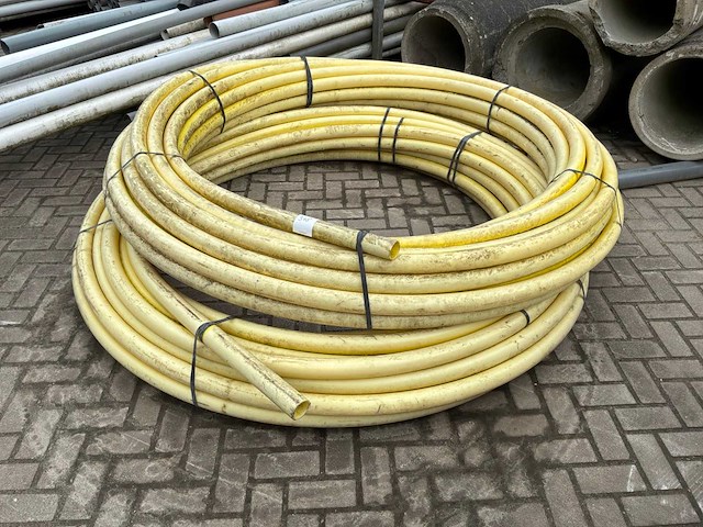 Schutbuis (2x) - afbeelding 2 van  4