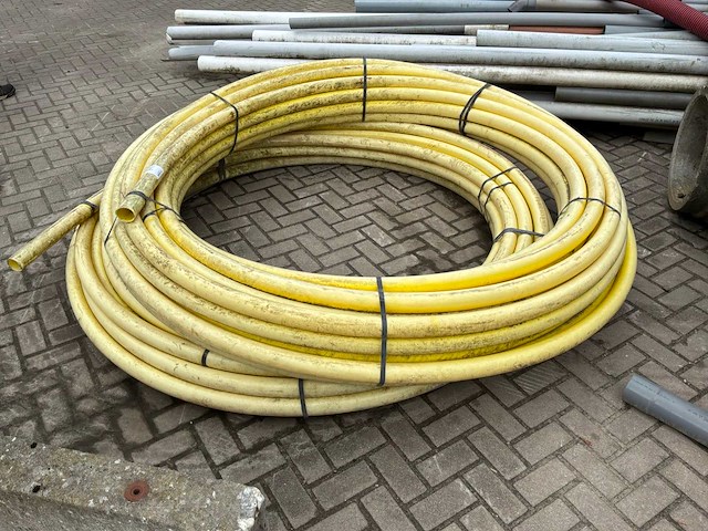 Schutbuis (2x) - afbeelding 3 van  4