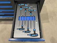 Schwartzmann - professionele gereedschapswagen met gereedschap - afbeelding 7 van  18