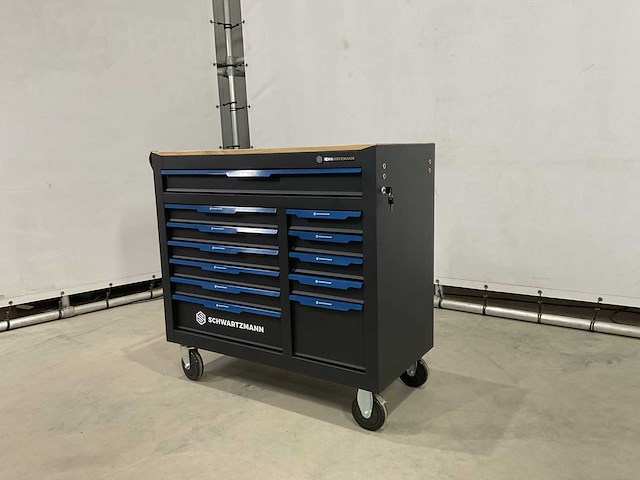 Schwartzmann - professionele gereedschapswagen met gereedschap - afbeelding 1 van  18
