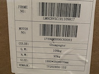 Scooter marengo, v-line exclusive, champagne, bouwjaar 2025 - afbeelding 8 van  9