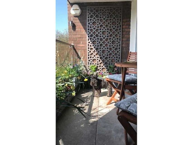 Screens with envy - alhambra - scherm - terrace-screens 5mm (3x) - afbeelding 4 van  7