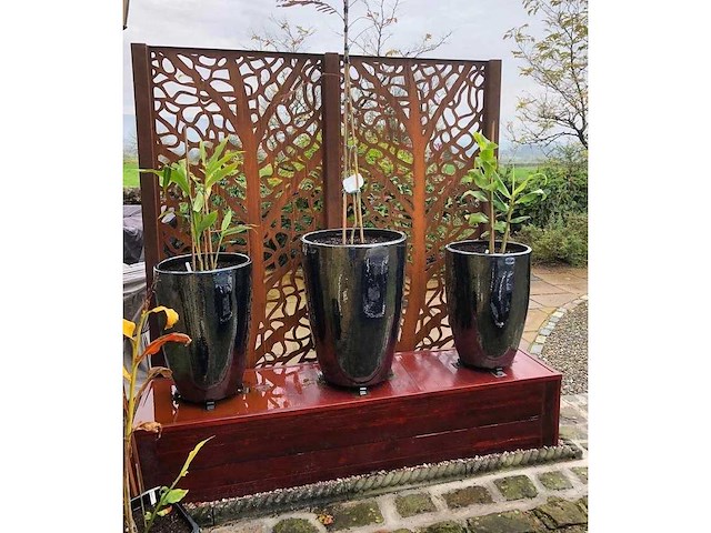 Screens with envy - l'arbre - scherm - terrace-screens (3x) - afbeelding 3 van  5