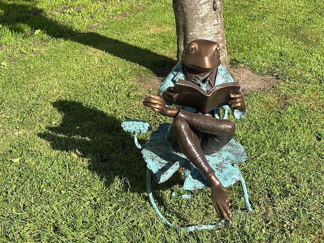 Sculptuur lezende bronzen kikker - afbeelding 1 van  5