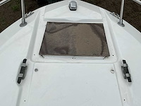 Sea ray speedboot - afbeelding 18 van  29