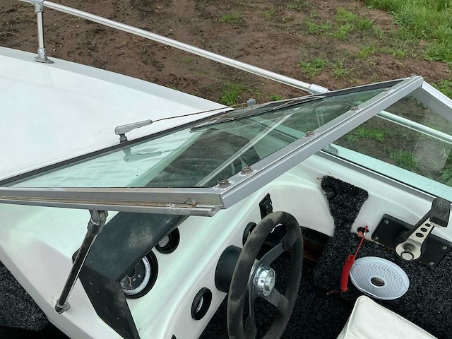 Sea ray speedboot - afbeelding 20 van  29