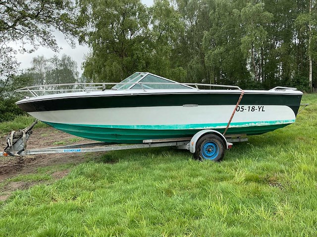 Sea ray speedboot - afbeelding 12 van  29