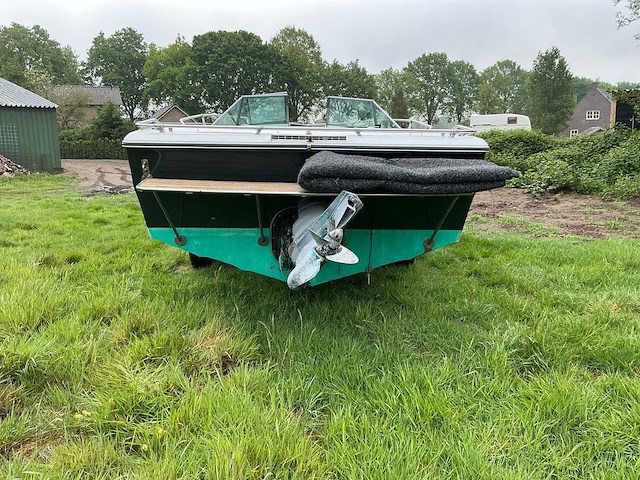 Sea ray speedboot - afbeelding 24 van  29