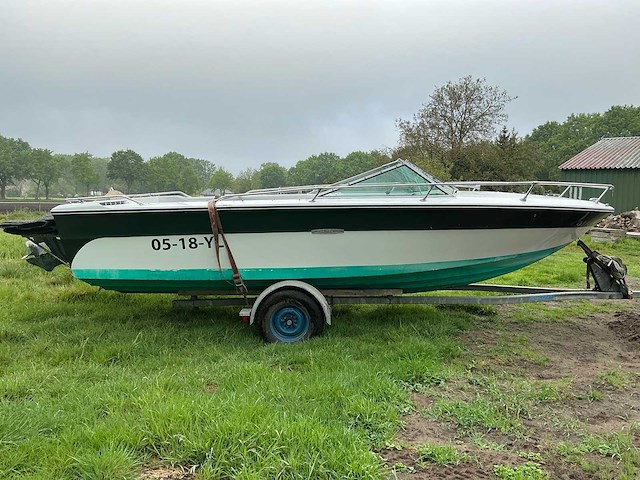 Sea ray speedboot - afbeelding 26 van  29