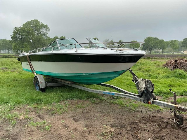 Sea ray speedboot - afbeelding 27 van  29