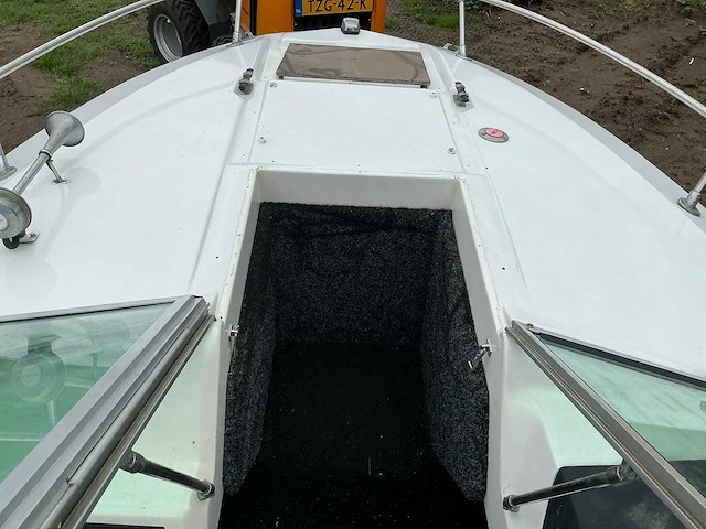 Sea ray speedboot - afbeelding 8 van  19