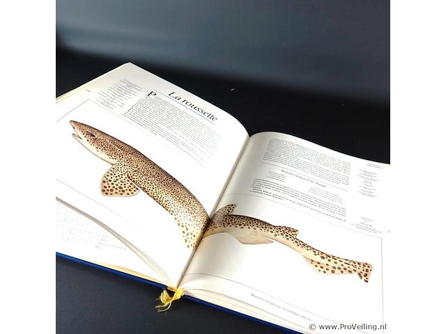 Seafood - afbeelding 5 van  5