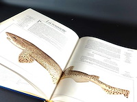 Seafood - afbeelding 5 van  5