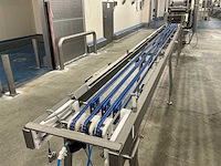 Sealpac voedseltray-transportband - afbeelding 5 van  8