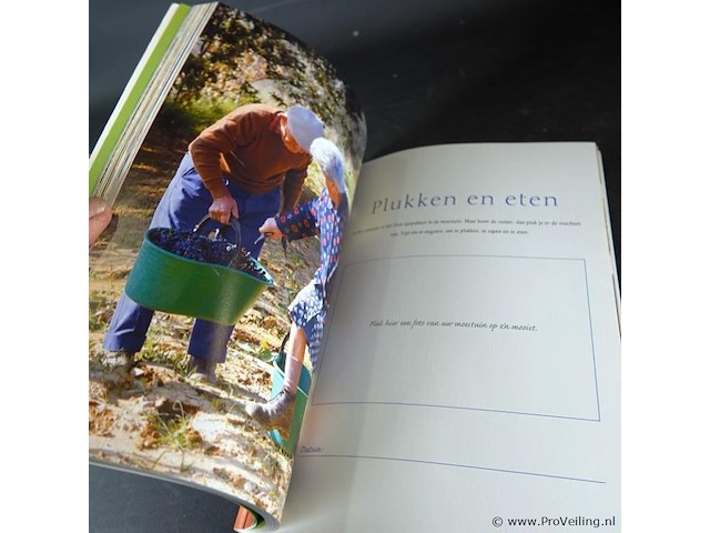 Seasons zomer - afbeelding 3 van  5