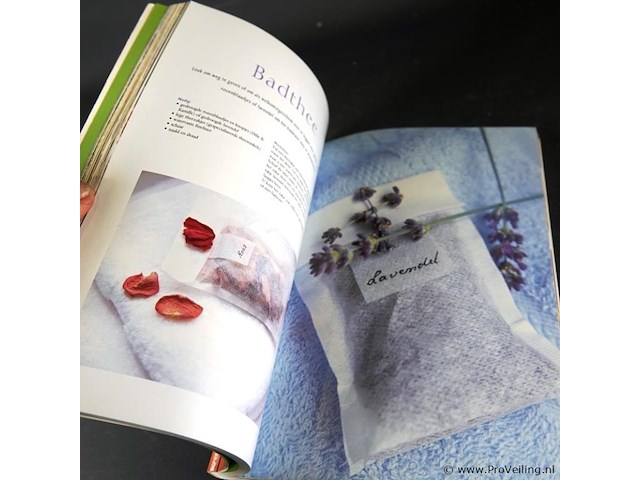 Seasons zomer - afbeelding 4 van  5