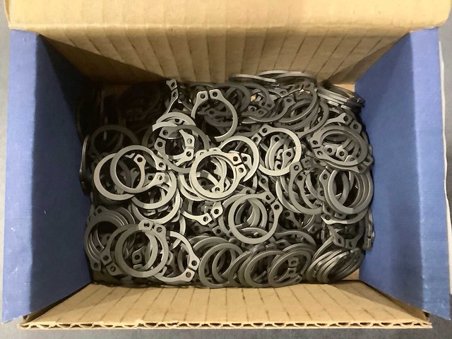 Seeger-borgveer din 471 voor asse (4000x) - afbeelding 3 van  3