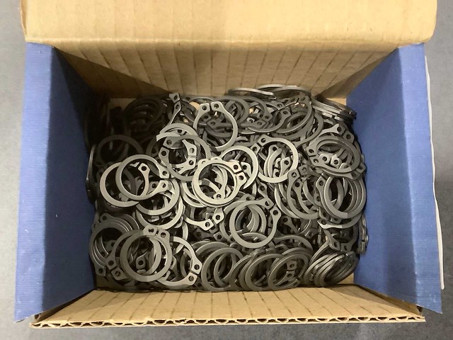 Seeger-borgveer din 471 voor asse (4000x) - afbeelding 3 van  3