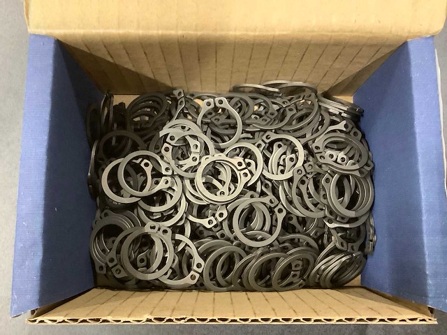 Seeger-borgveer din 471 voor asse (4000x) - afbeelding 3 van  3