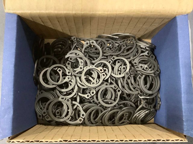 Seeger-borgveer din 471 voor asse (4000x) - afbeelding 3 van  3