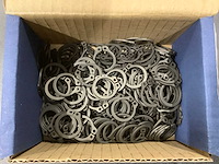 Seeger-borgveer din 471 voor asse (4000x) - afbeelding 3 van  3