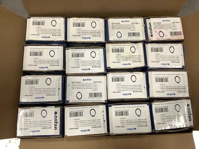 Seeger-borgveer din 471 voor asse (4000x) - afbeelding 1 van  3