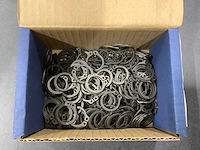 Seeger-borgveer din 471 voor asse (4000x) - afbeelding 3 van  3