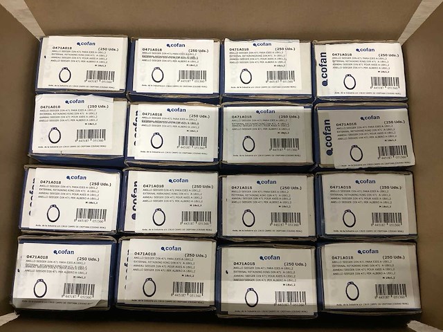 Seeger-borgveer din 471 voor asse (4000x) - afbeelding 1 van  3