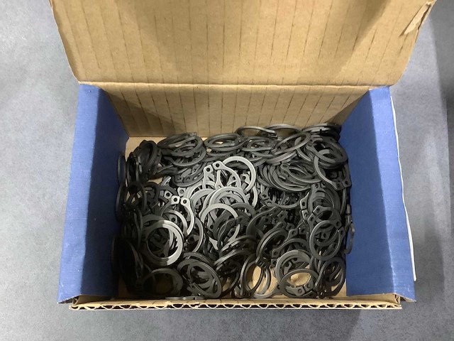 Seeger-borgveer din 471 voor asse (4000x) - afbeelding 3 van  3