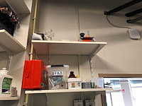 Seizoendecoratie - afbeelding 11 van  11