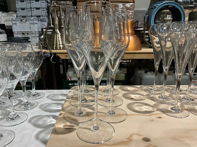 Select dinnerware - champagneglas (7x) - afbeelding 1 van  2