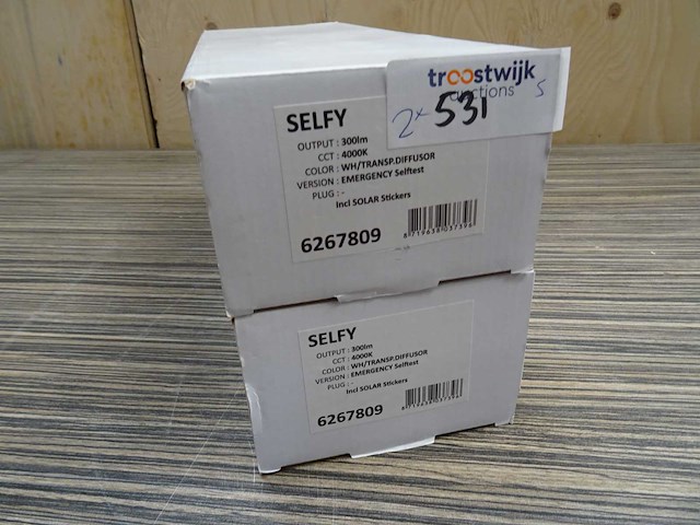 Selfy - emergency selftest - noodverlichting (2x) - afbeelding 2 van  2