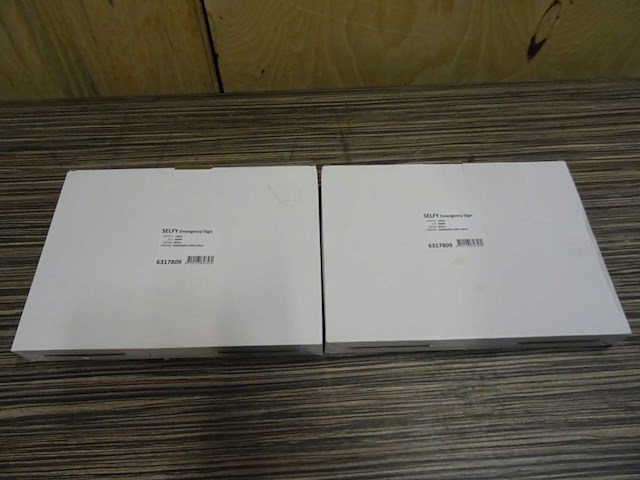 Selfy - emergency sign selfest - noodverlichtingsarmatuur (2x) - afbeelding 2 van  3