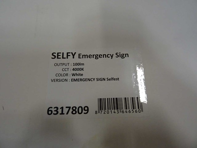 Selfy - emergency sign selfest - noodverlichtingsarmatuur (2x) - afbeelding 3 van  3